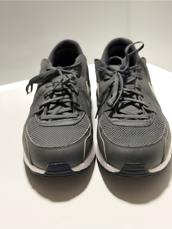 Nike Grey and Blue Running Sneakers